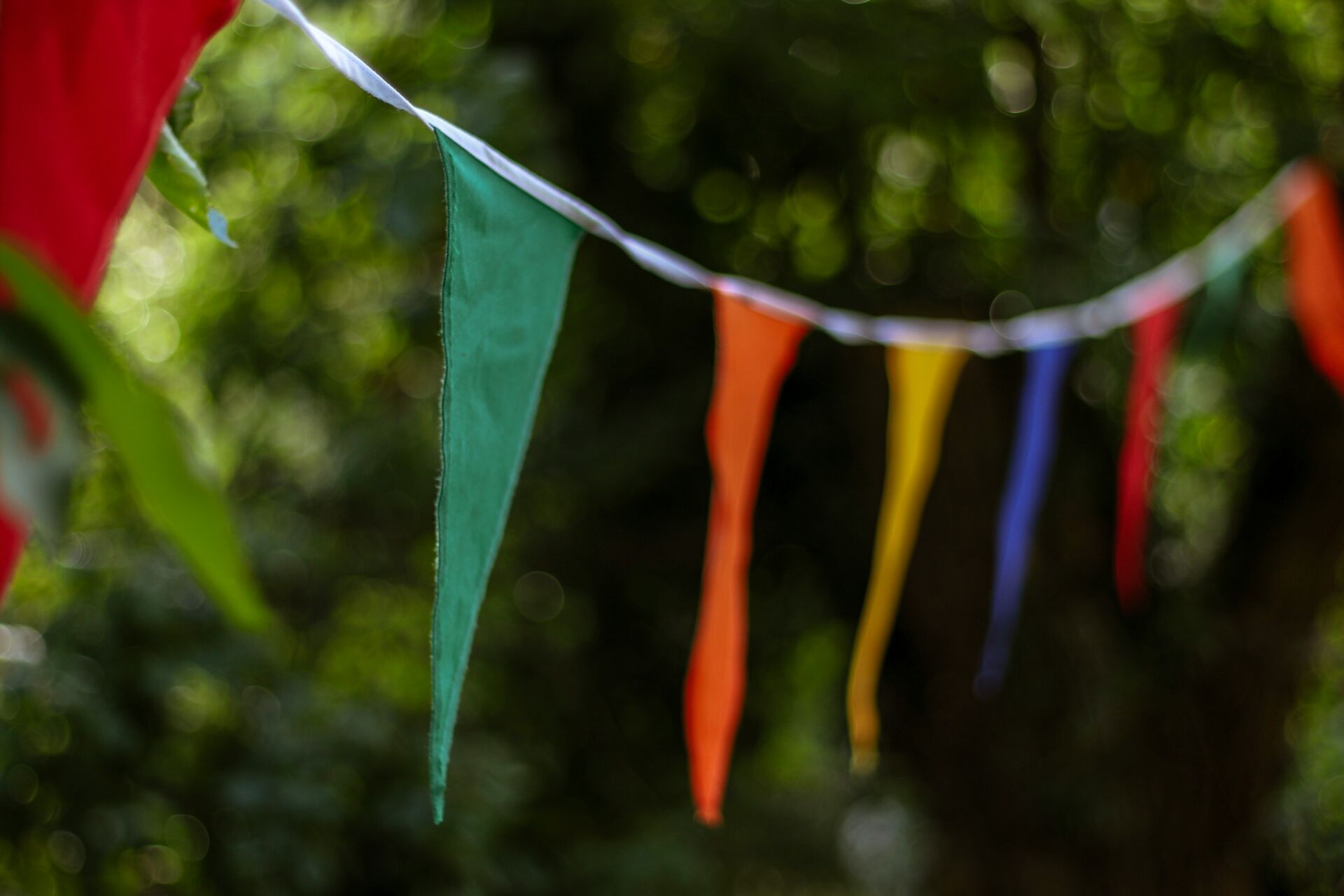 manuel-hoster-hgy2gGPyebw-unsplash