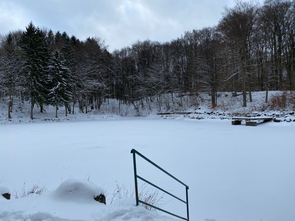 Neujahrswanderung wird zu Schneetour